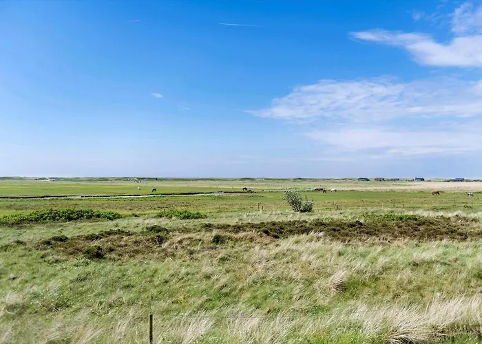 Bv306-blavand-digevej-6 *